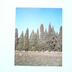 Paysage agricole